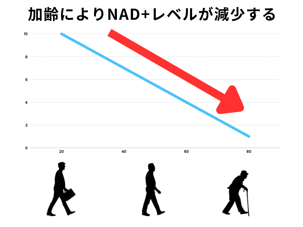 NAD+レベルの減少